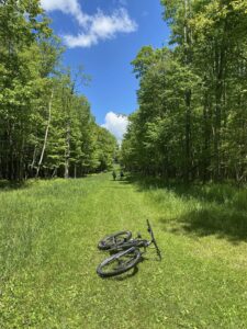 Featured Image Post with Details and Images